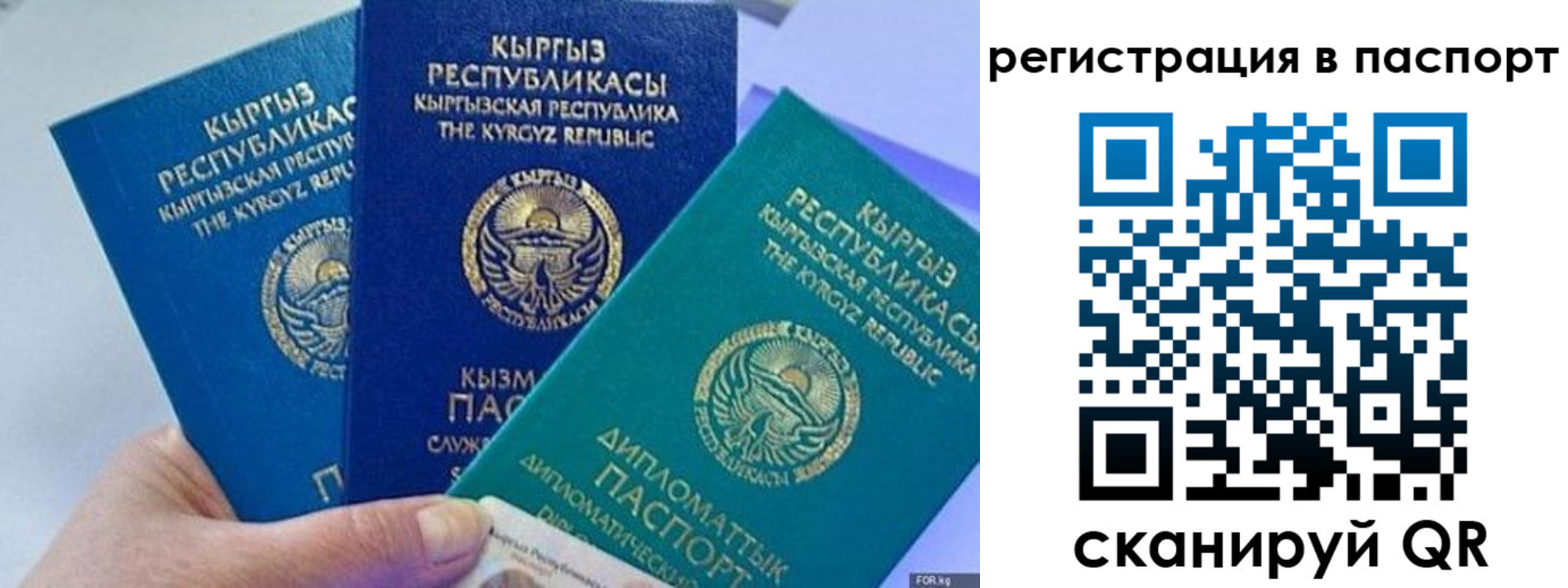 прописка 2025 в Сольцах